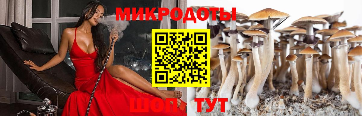 Ярославль  Галлюциногенные грибы прущие грибы  Вход с VPN 